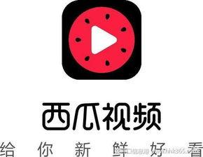 在抖音上买瓜吃瓜犯法吗,法律边界与网络舆论的微妙平衡  第2张