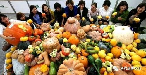 没事别大街吃瓜  第3张