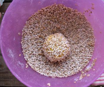 生理期可以吃芝麻瓜吗,芝麻瓜的适宜食用指南  第2张